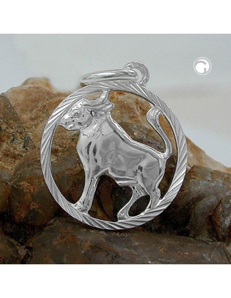 Stjärntecken Hängsmycke Taurus Silver 925