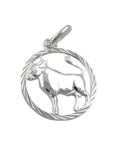 Stjärntecken Hängsmycke Taurus Silver 925