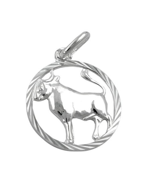 Stjärntecken Hängsmycke Taurus Silver 925