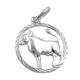 Stjärntecken Hängsmycke Taurus Silver 925