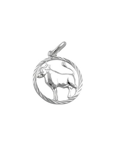 Stjärntecken Hängsmycke Taurus Silver 925