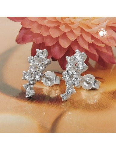 Stud Örhänge Flower Zirconia Silver 925