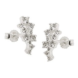 Stud Örhänge Flower Zirconia Silver 925