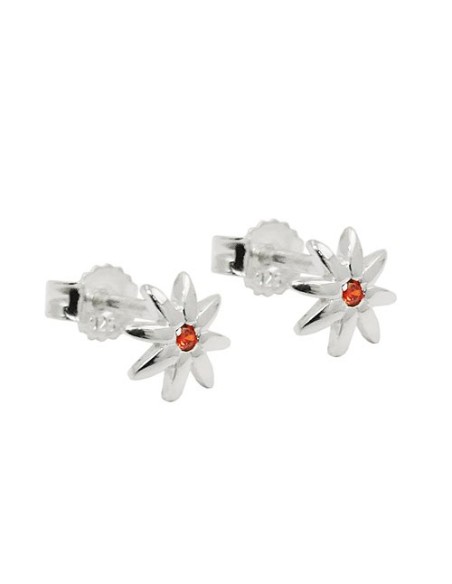 Stud Örhänge Zirconia Red Silver 925