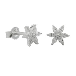Stud Örhängen Star Zirconia Silver 925