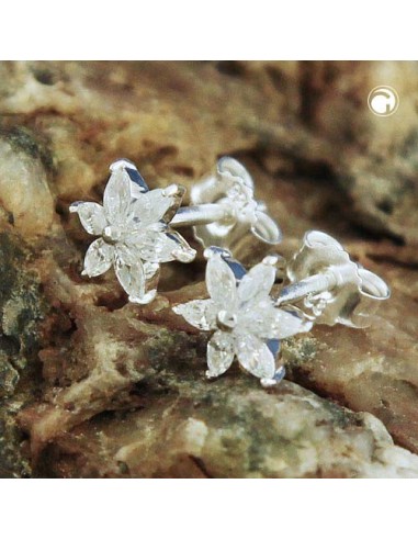 Stud Örhängen Star Zirconia Silver 925