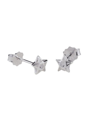 Stud Örhängen Zirconia Silver 925