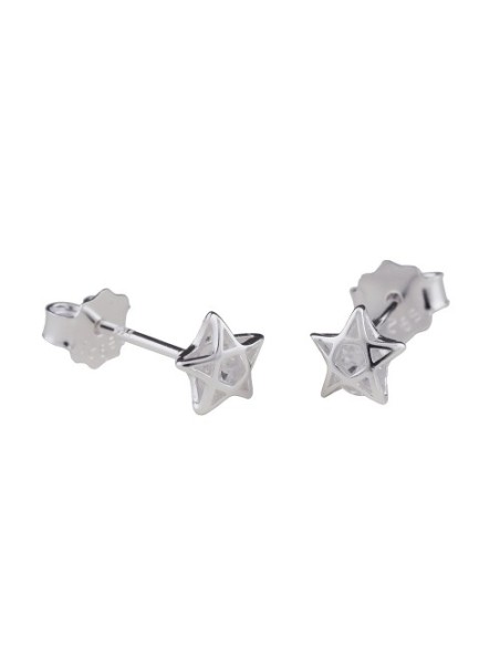 Stud Örhängen Zirconia Silver 925
