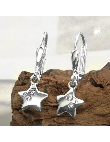 Örhänge Bees With Zirconia Silver 925