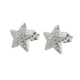 Örhängen Studs Cz Star White Silver 925