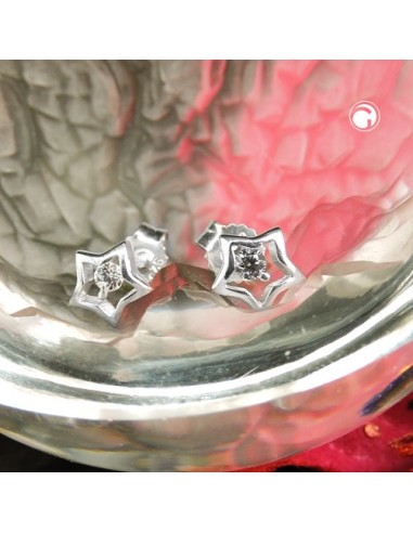 Örhängen Studs Star Zirconia Silver 925