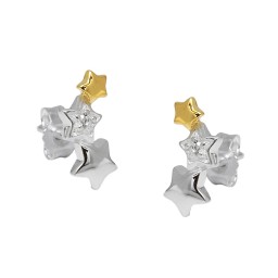 Örhängen Studs Star Zirconia Silver 925