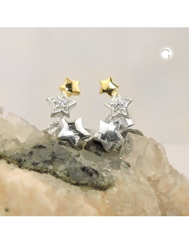 Örhängen Studs Star Zirconia Silver 925