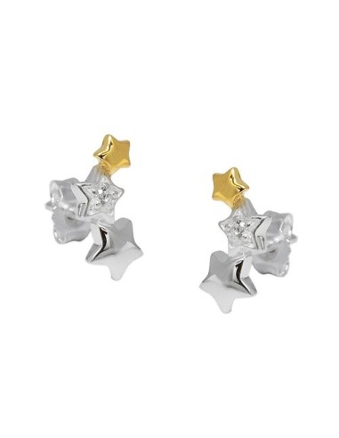 Örhängen Studs Star Zirconia Silver 925