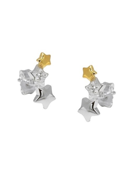 Örhängen Studs Star Zirconia Silver 925