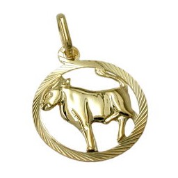 pendant 15mm zodiac sign taurus 9k gold