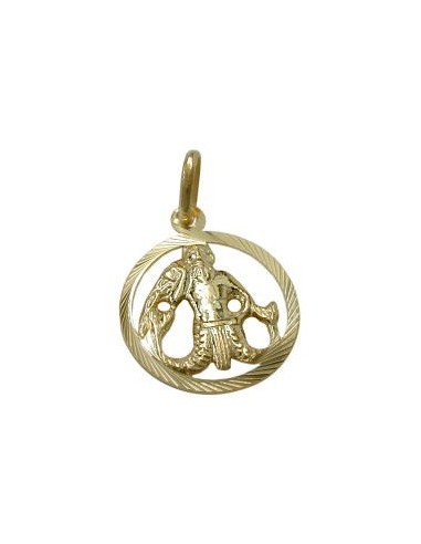pendant 15mm zodiac sign aquarius 9k gold