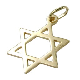 pendant 21x16mm jewish star polished 14k gold