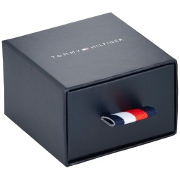 Dam örhängen Tommy Hilfiger 2780272 Rostfritt stål