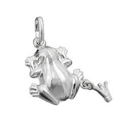 pendant frog whith crown silber 925