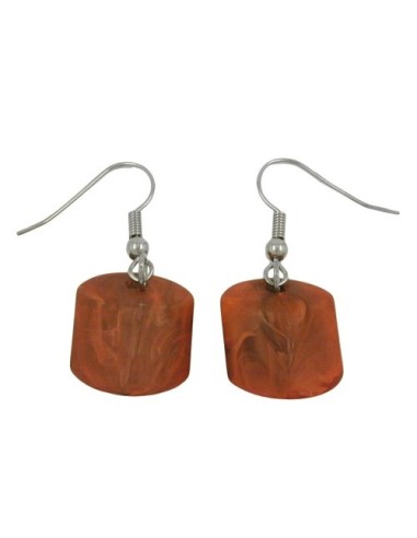 hook earrings slanted bead brown