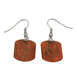hook earrings slanted bead brown